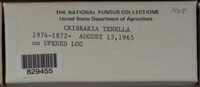 Image Associated With the Occurence